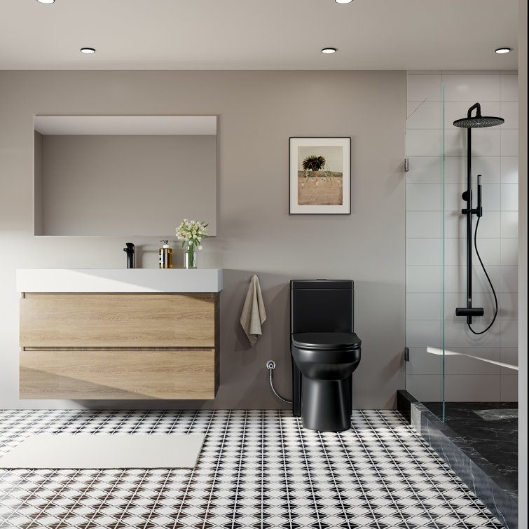 Matte Black Compact Dual Flush Round Toilet with Soft Close Seat