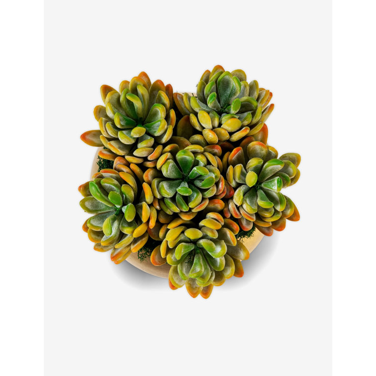 Beatrice Gold Metal Planter with Green Artificial Succulents