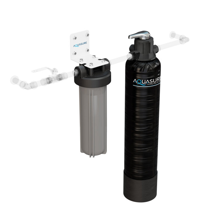 Fortitude Lite Black Whole House Water Filtration System