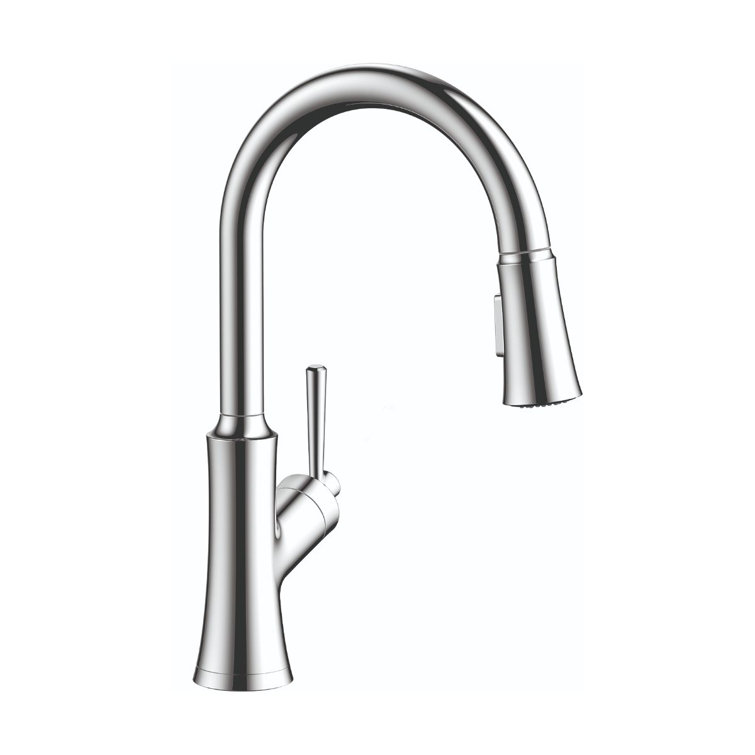 Joleena Modern Chrome High Arc Pull-Down Kitchen Faucet