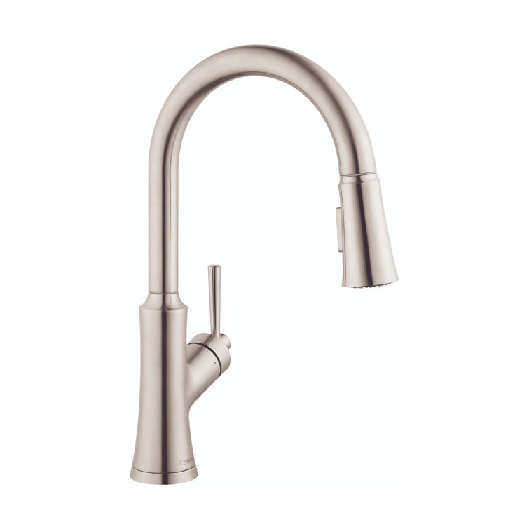 Joleena HighArc 15.88" Stainless Steel Kitchen Faucet with Pull-Out Spray