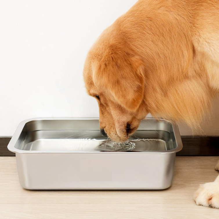 Medium Clear Acrylic Elevated Dog Bowl Feeder with Stainless Steel Trough