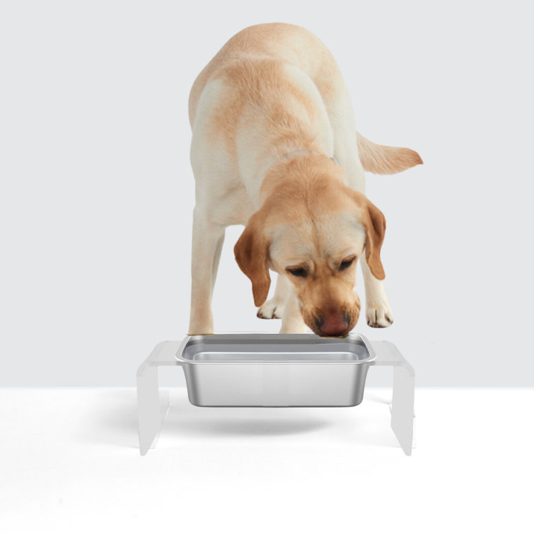 Medium Clear Acrylic Elevated Dog Bowl Feeder with Stainless Steel Trough
