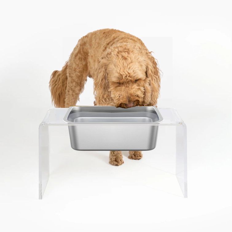 Large Clear Acrylic Elevated Trough Dog Bowl Feeder