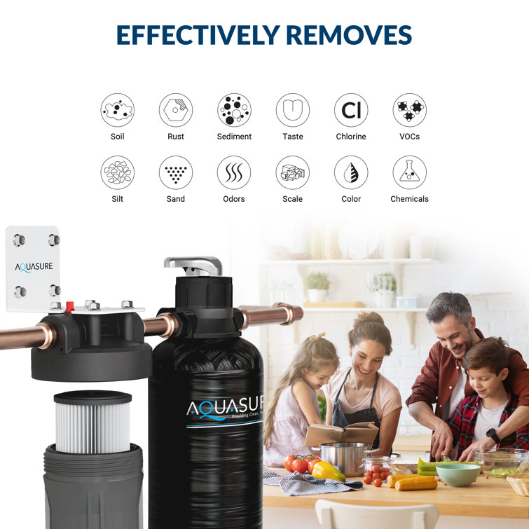 Fortitude Lite Black Whole House Water Filtration System
