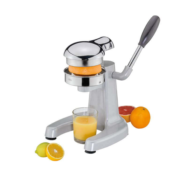 Positano Gray Stainless Steel Citrus Juicer