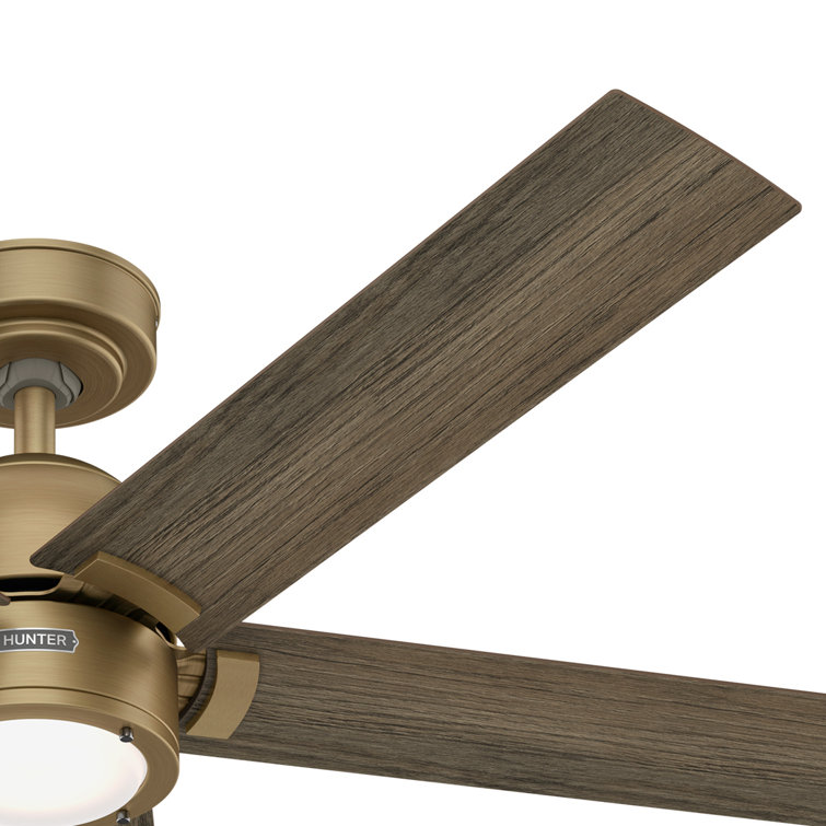 Hunter 52" Gold and Gray Wood Ceiling Fan with Light and Remote