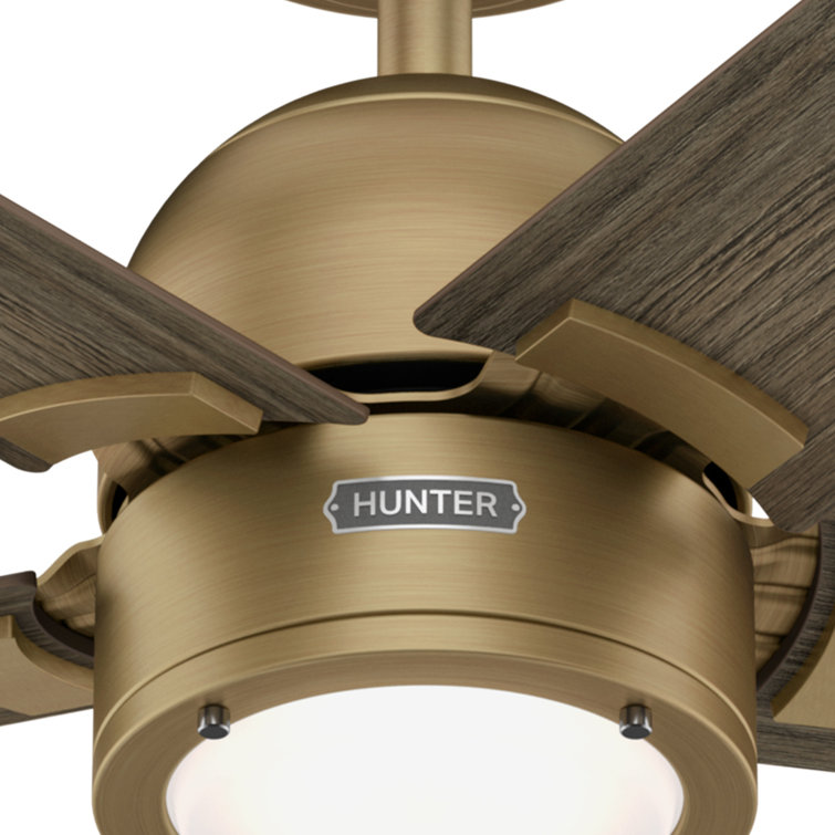 Hunter 52" Gold and Gray Wood Ceiling Fan with Light and Remote