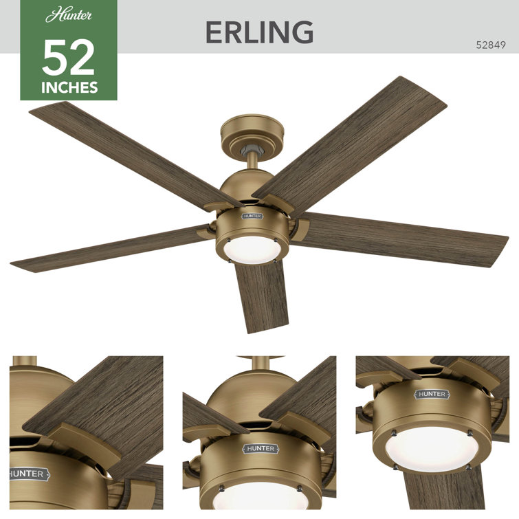 Hunter 52" Gold and Gray Wood Ceiling Fan with Light and Remote