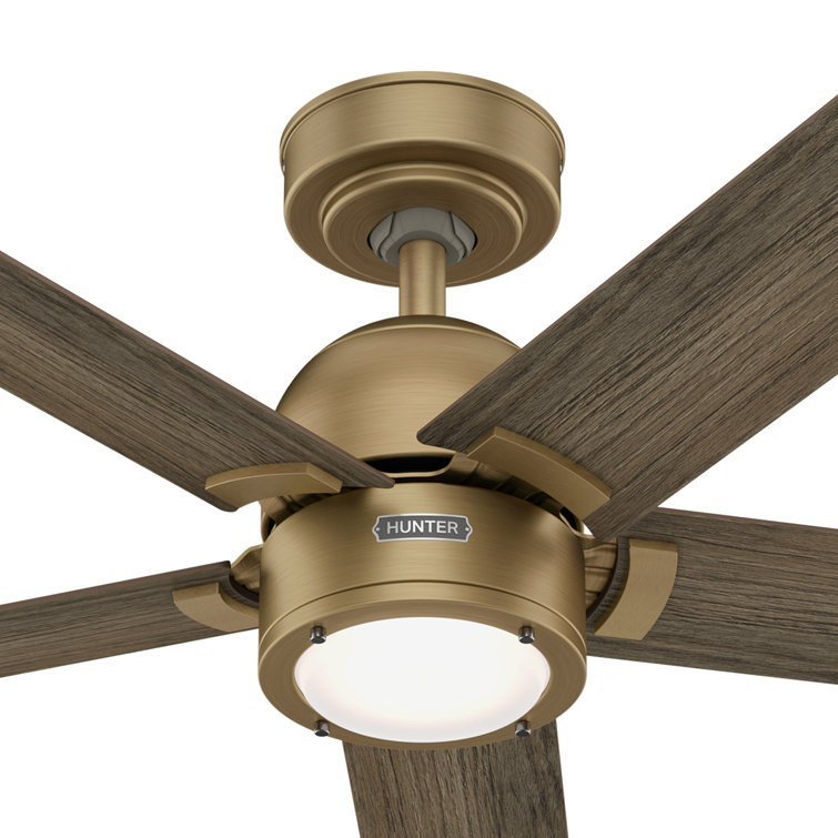 Hunter 52" Gold and Gray Wood Ceiling Fan with Light and Remote