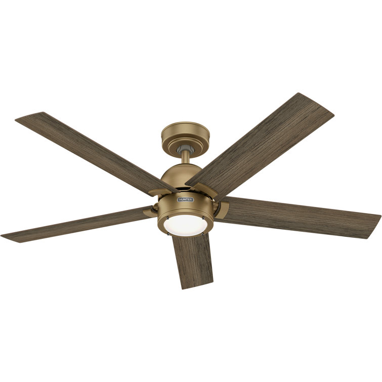 Hunter 52" Gold and Gray Wood Ceiling Fan with Light and Remote