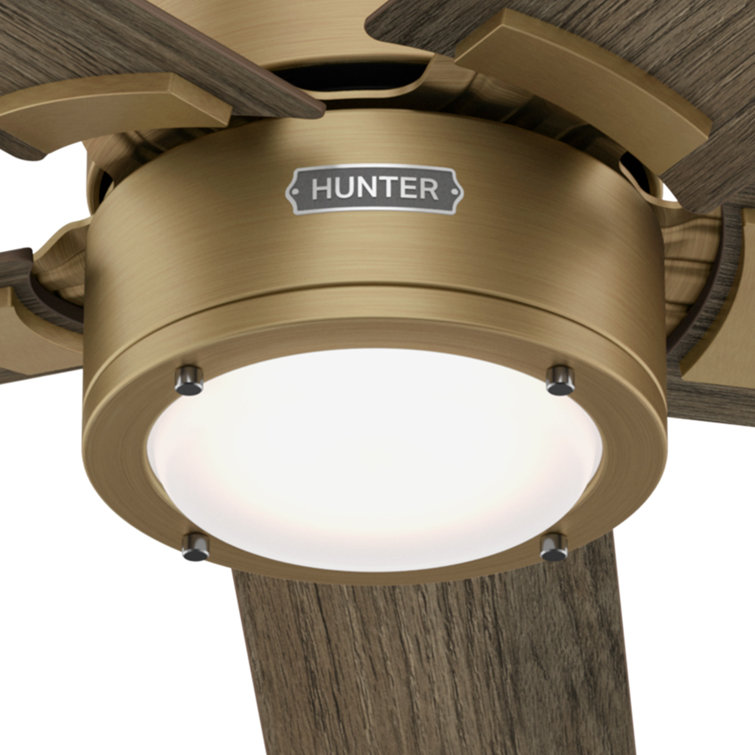 Hunter 52" Gold and Gray Wood Ceiling Fan with Light and Remote