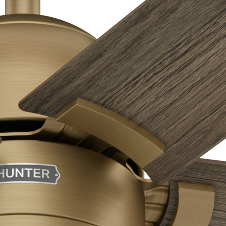 Hunter 52" Gold and Gray Wood Ceiling Fan with Light and Remote