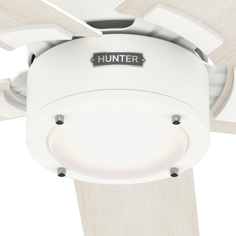 Erling 52" White Wood Ceiling Fan with Light and Remote