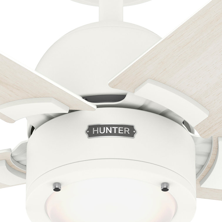 Erling 52" White Wood Ceiling Fan with Light and Remote