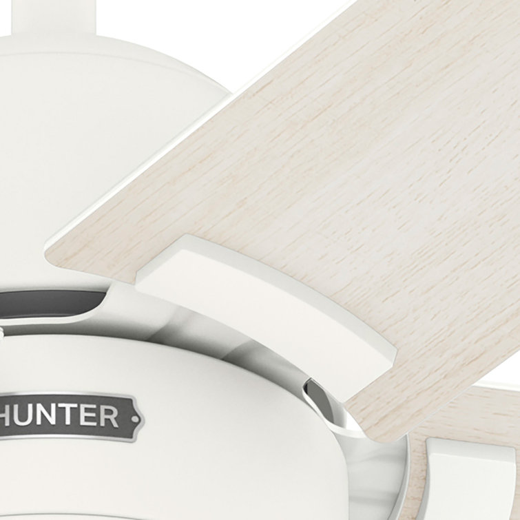 Erling 52" White Wood Ceiling Fan with Light and Remote