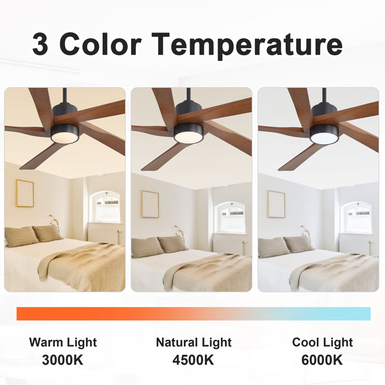 64'' Gold and Black Ceiling Fan with Light and Remote