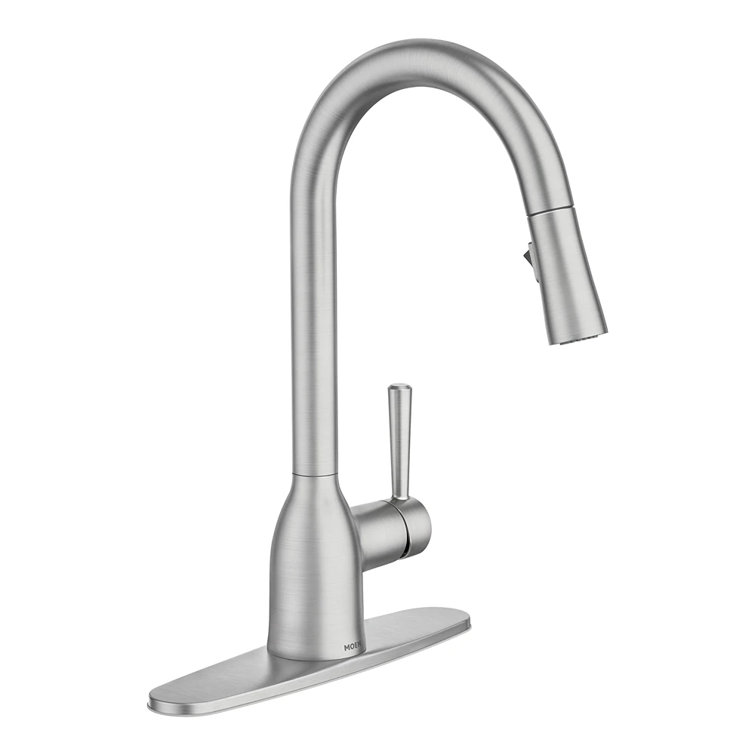 Adler Stainless Steel Pull-Down Kitchen Faucet with Spray
