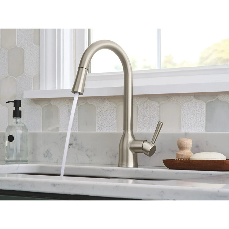 Adler Stainless Steel Pull-Down Kitchen Faucet with Spray