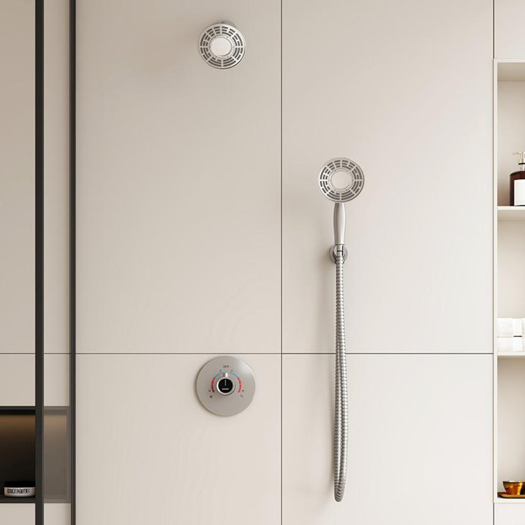 Brushed Nickel Dual-Function Wall Mounted Shower System