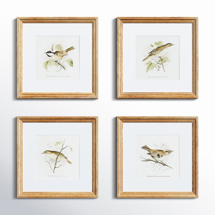 Natural Sepia Bird Study Set of Four Petite Prints