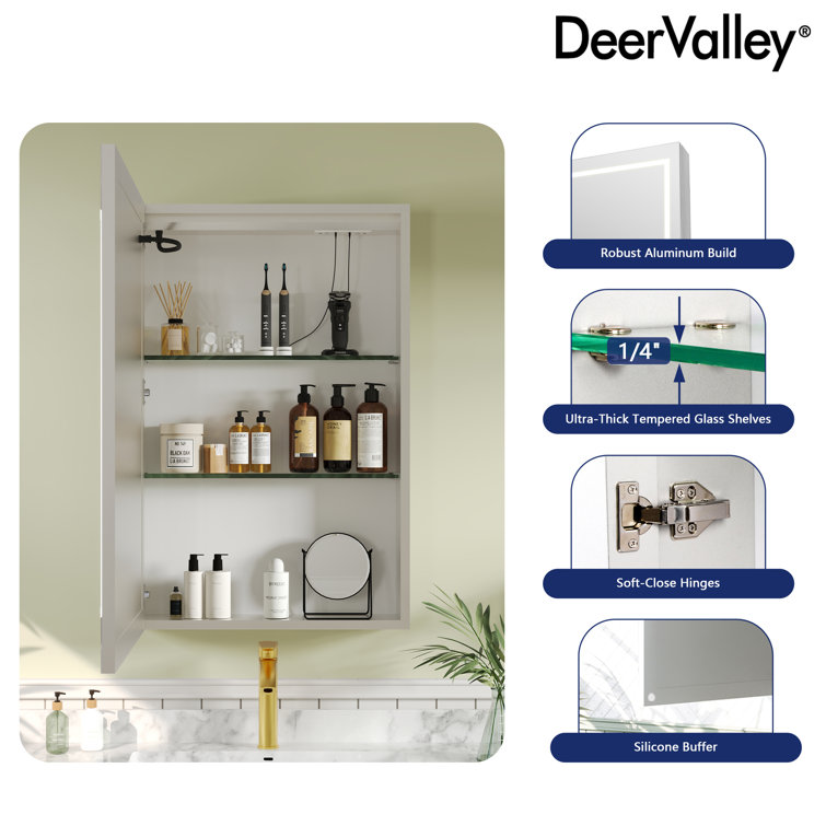 24'' W x 36'' H LED Lighted Wall Mounted Medicine Cabinet with Mirror