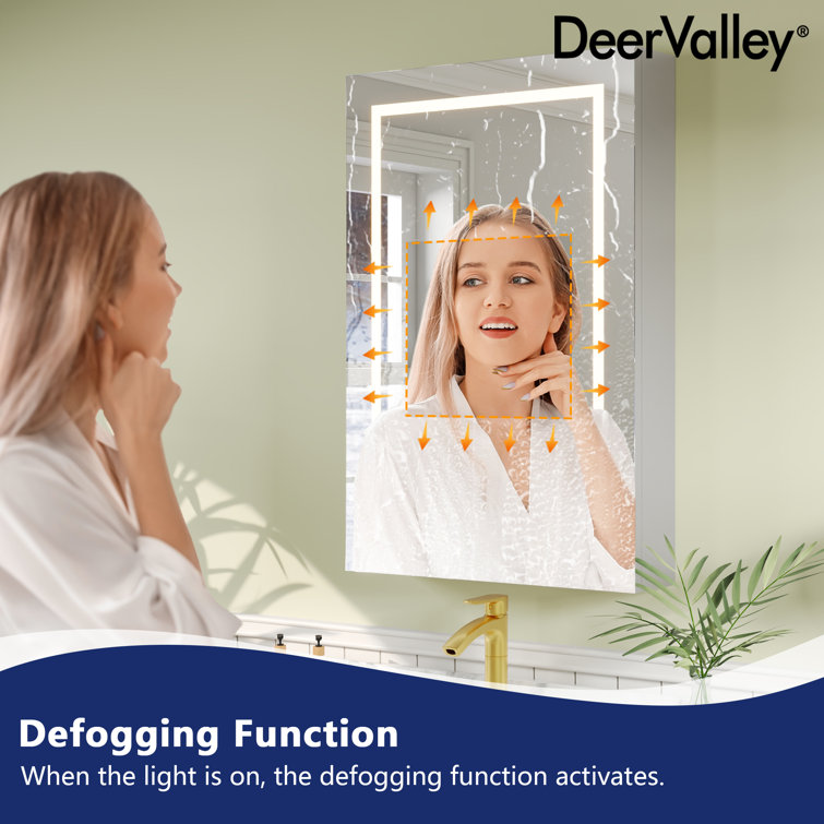 24'' W x 36'' H LED Lighted Wall Mounted Medicine Cabinet with Mirror
