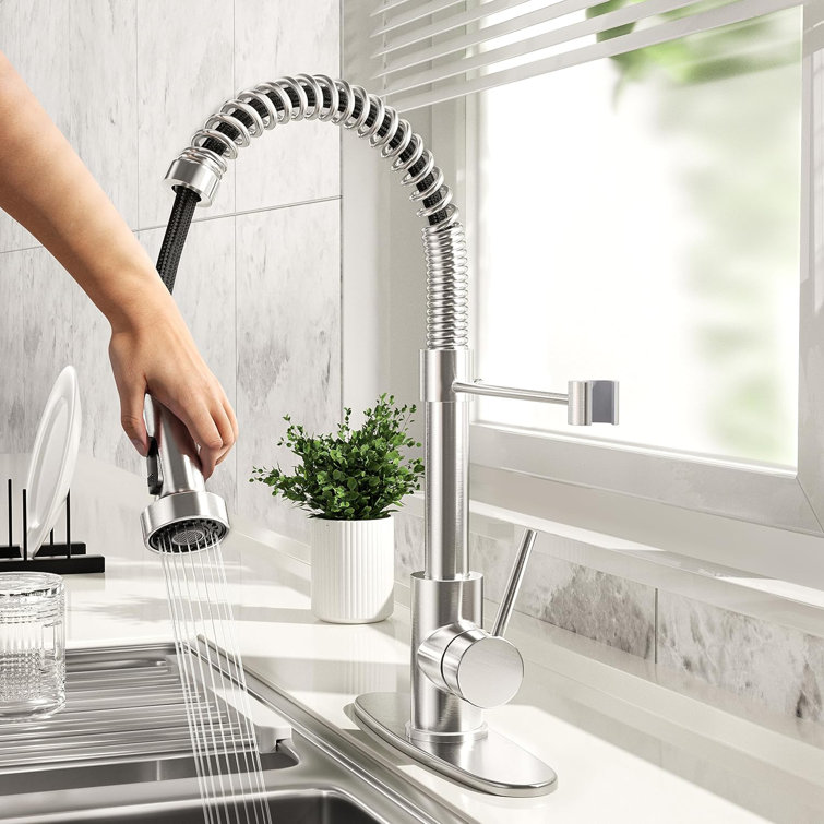 Stainless Steel Pull-Out Spray Kitchen Faucet with Single Handle