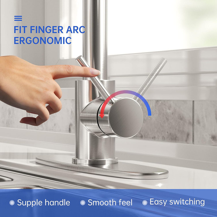 Stainless Steel Pull-Out Spray Kitchen Faucet with Single Handle