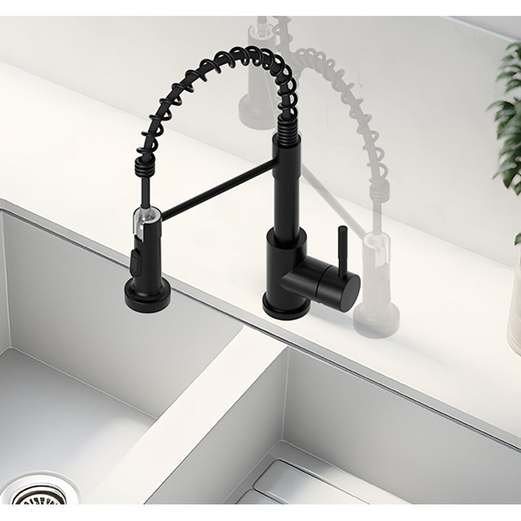 Matte Black High-Arc Kitchen Faucet with Pull-Out Spray