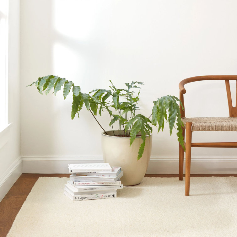 Ivory Flat Woven Wool and Cotton 8' x 10' Rug