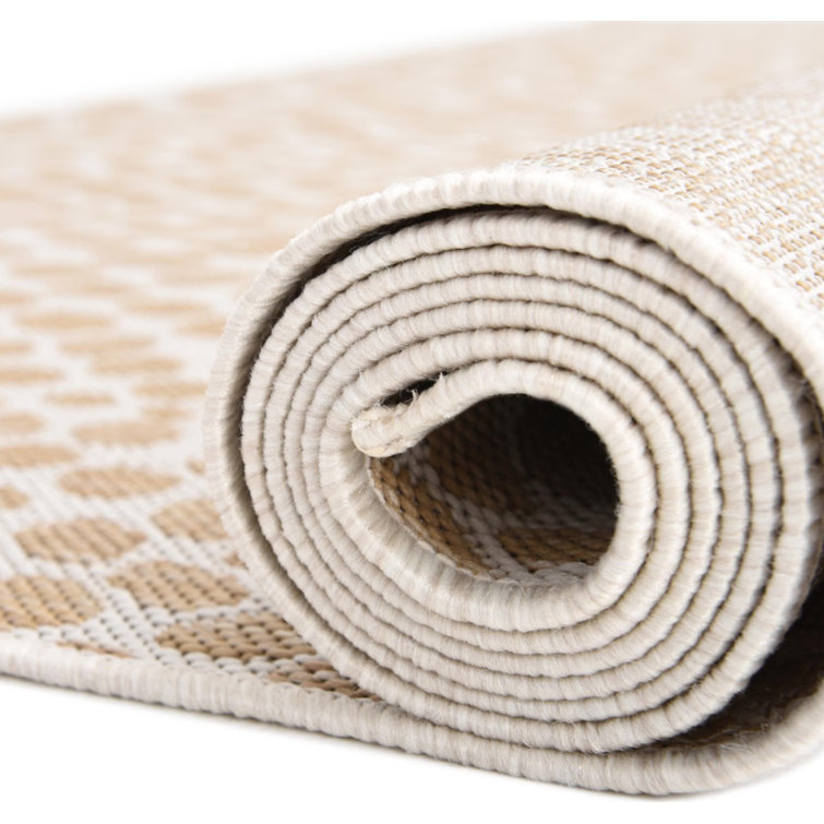 Cape Town Dark Beige Synthetic Outdoor Area Rug 4' x 6'