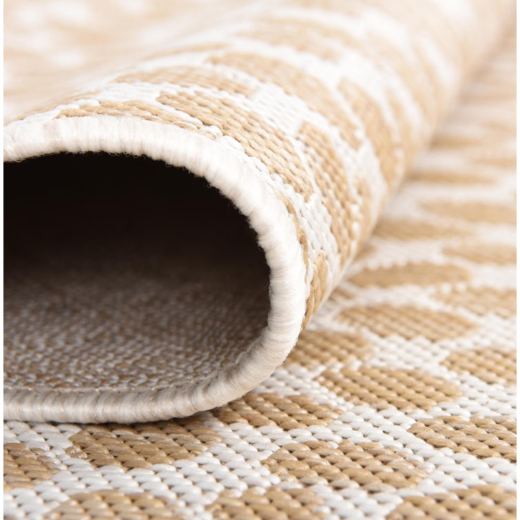 Cape Town Dark Beige Synthetic Outdoor Area Rug 4' x 6'