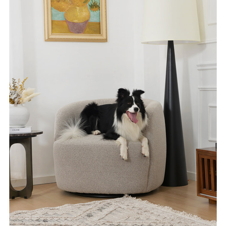 Taupe Boucle Swivel Barrel Accent Chair with Wood Frame
