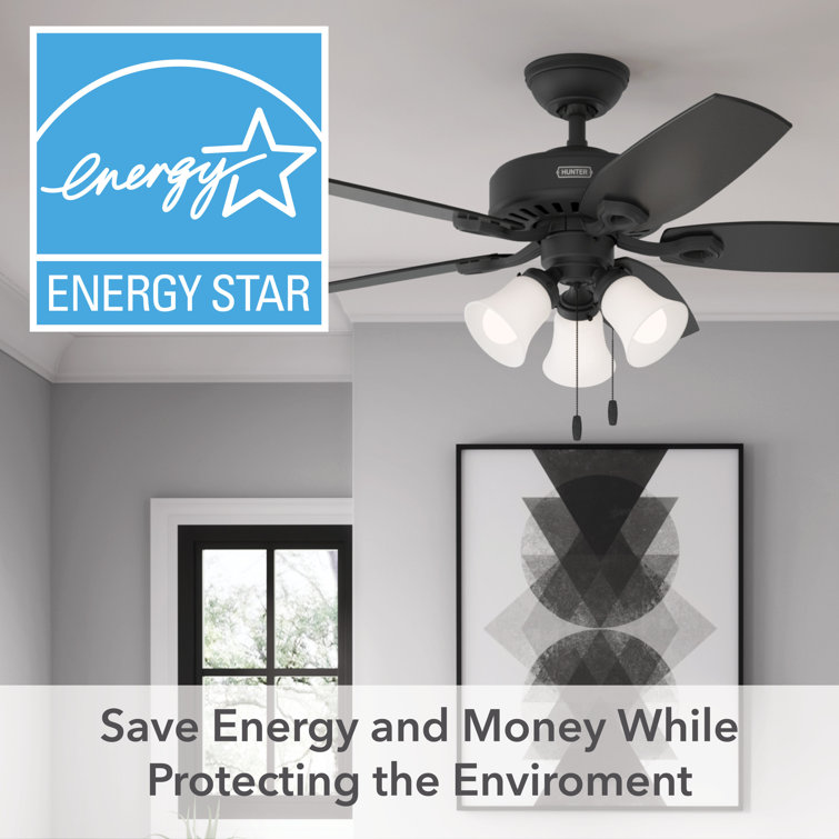 Builder 52" 5-Blade Energy Star® Standard Ceiling Fan With Lights And Pull Chain