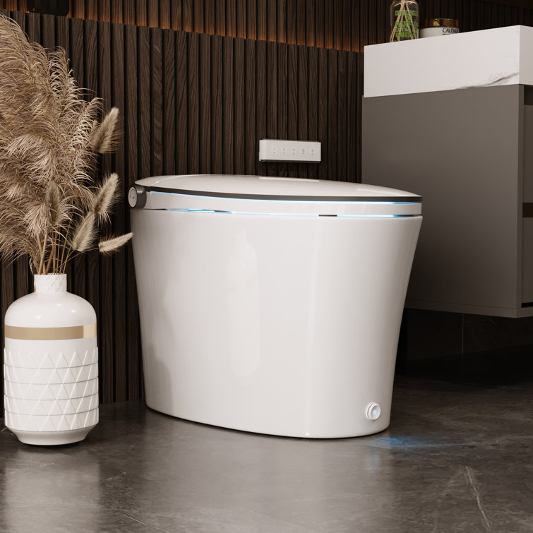 White Elongated Smart Bidet Toilet with Heated Seat and Remote