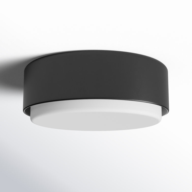 Fitzgerald Black Etched Opal Glass 2-Light Modern Flush Mount