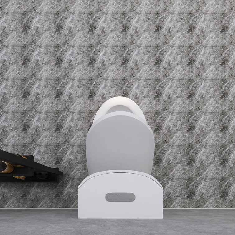 Glossy White Ceramic Dual Flush Elongated One-Piece Toilet