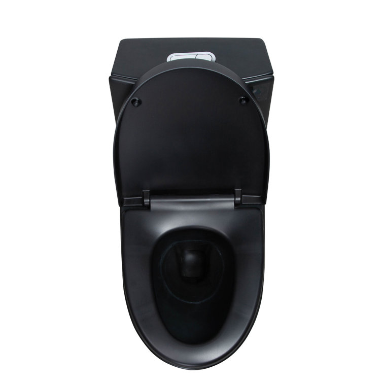 Matte Black Ceramic Dual Flush Elongated One-Piece Toilet
