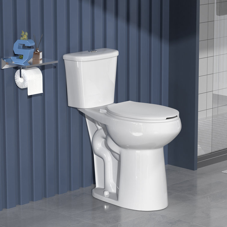 Glossy White Extra Tall 21" Dual Flush Elongated Two-Piece Toilet