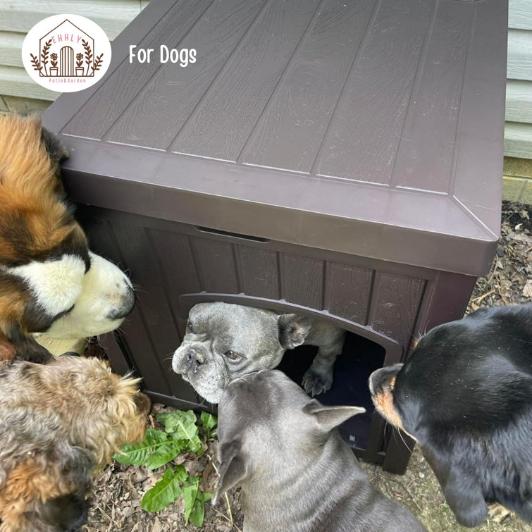 Black Insulated Medium Plastic Dog House with Elevated Floor