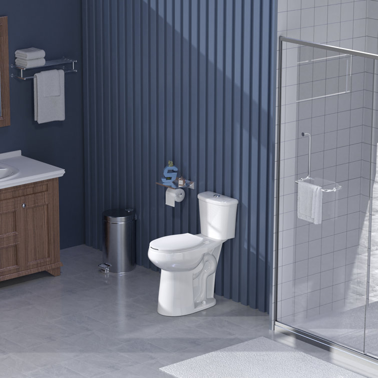 Glossy White Extra Tall 21" Dual Flush Elongated Two-Piece Toilet