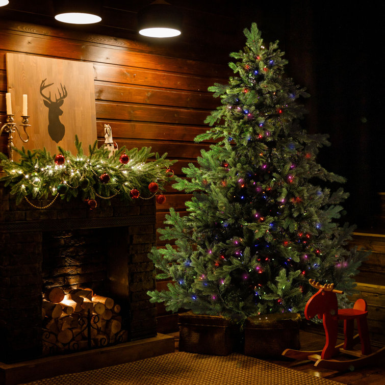 Fraser Hill Farm 9-Ft. Foxtail Pine Christmas Tree with Dual Multicolor & Warm White LED Lights