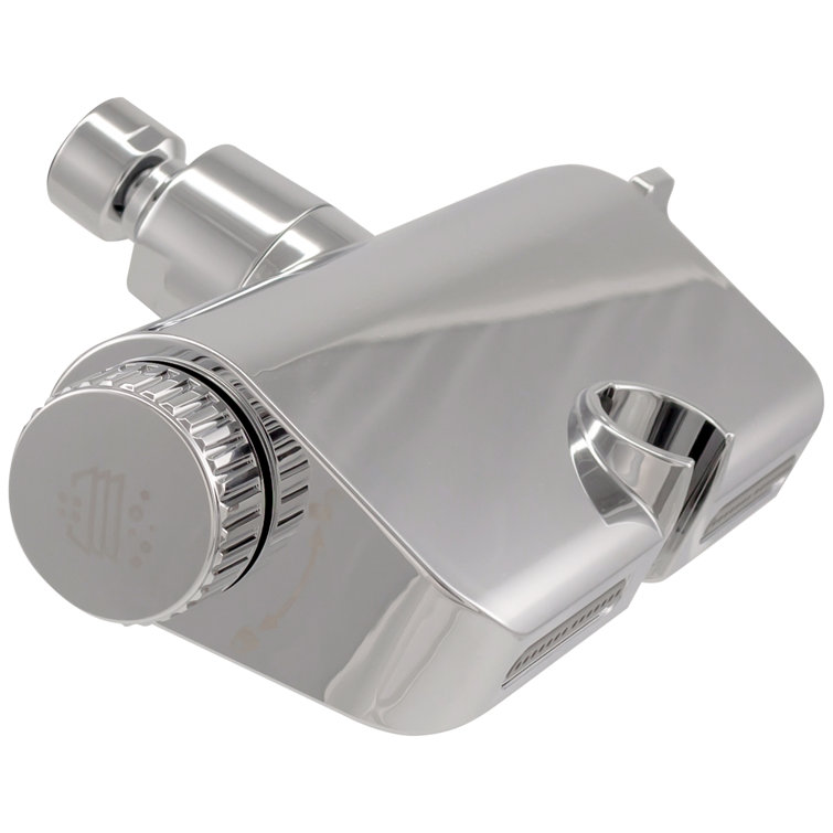 Chrome 10-Function Handheld Shower with Filter and Wall Mount