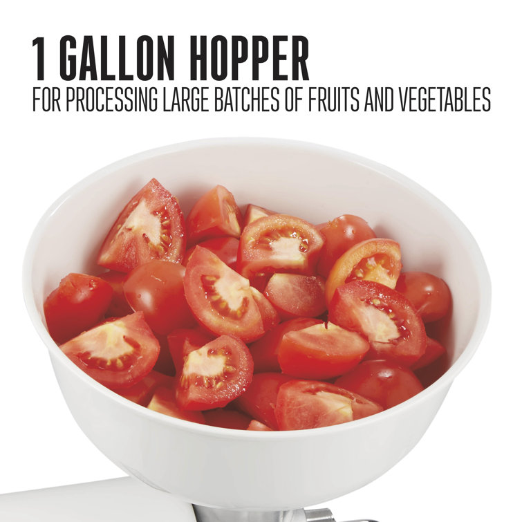 Stainless Steel Tomato Press with Food Strainer and Clamp