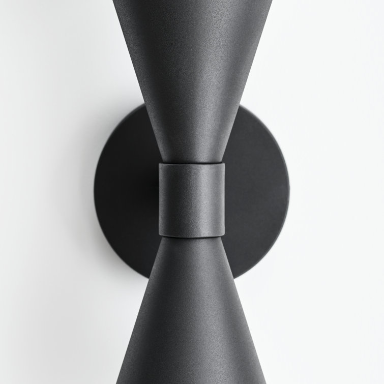 Albertine Textured Black 2-Light Outdoor Wall Sconce