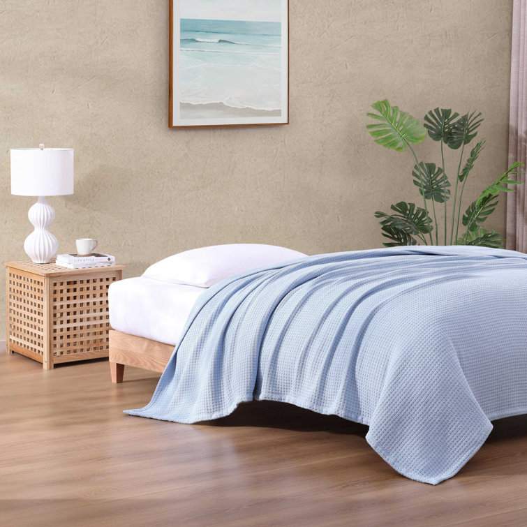 Cozy Coast Blue Cotton Full/Queen Knitted Blanket