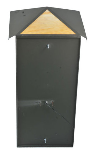 Scottsdale Ambient Steel Sconce with Colorful Glass Shade