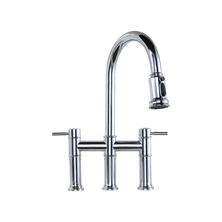 Chrome High-Arc Double Handle Kitchen Faucet with Pull-Out Spray