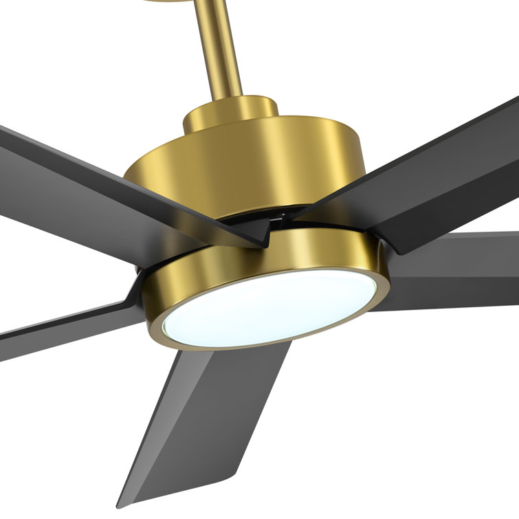 Ulker 52'' Black and Gold Ceiling Fan with LED Light and Remote